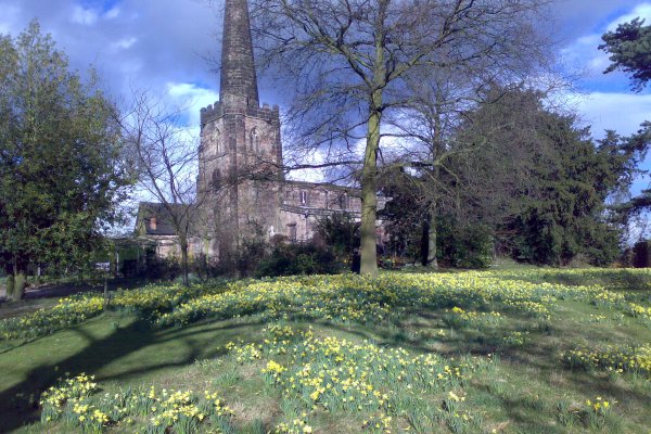 Spring at St Matthews